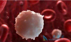 ���������Ϊ�����Լ�����ϵ��Ѫ�����ߴ����������