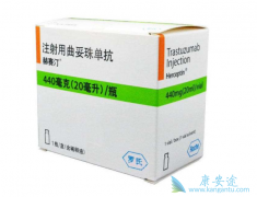©������͡(Herceptin)����ν��д�����