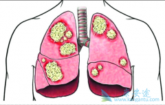 ���������Էΰ��۰�����Ч���缪������