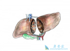 �յ�ԭ���Ըΰ��߷��Ŀ�����������Щ��