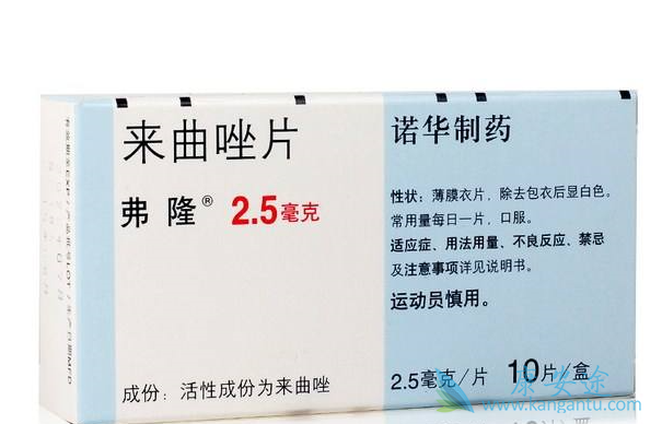 ������Ƭ