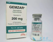 ��������(Gemzar)��Բ�ͬ��Ӧ֢����ҩ�����кβ�ͬ��