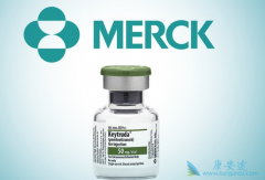 �����Ʒ�Keytruda��Opdivo��������ת���Թ�������