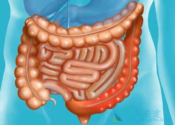 ��ֱ����