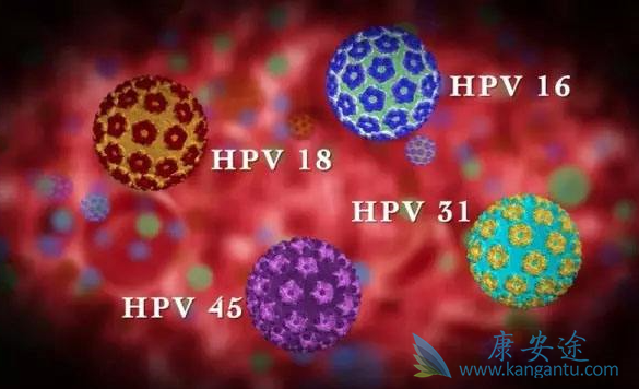 ���ƹ�����