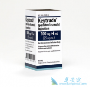 Keytruda���ϰ���������Ŀǰ������ϸ������һ�������Ʒ�