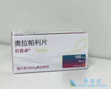 �����������ڿ����������ٰ����ߵ�������