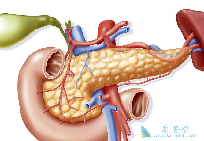 ���ٰ�������