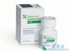 erdafitinib׿ABCB1鵼İϸҩҩ