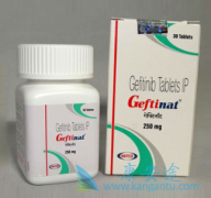 (Gefitinib)ȫԷڼ䴩͸Ѫϵ