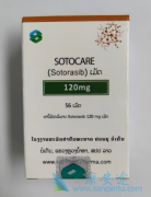 SotorasibKRASG12CͻNSCLC