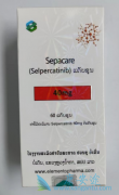 selpercatinib/RetevmoıRETı䰩֢ߵģʽ