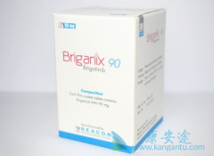 BrigatinibһALK+NSCLC