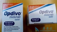 PD-1(䵥)˵ԼPD-1(nivolumab)֢?