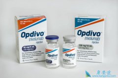 PD-1(Opdivo)ԼPD-1(Keytruda)÷Щ