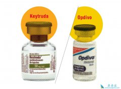 PD-1(Keytruda)Ӧ֢PD-1(Ȭ)˵ܣ